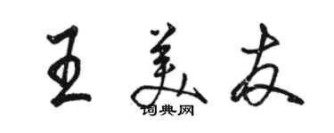 骆恒光王美友行书个性签名怎么写