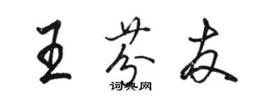 骆恒光王芬友行书个性签名怎么写
