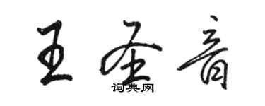 骆恒光王圣音行书个性签名怎么写