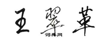 骆恒光王翠革行书个性签名怎么写