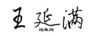 骆恒光王延满行书个性签名怎么写