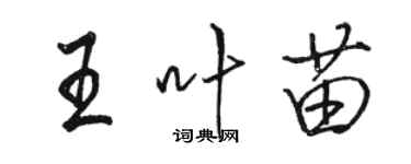 骆恒光王叶苗行书个性签名怎么写