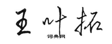 骆恒光王叶拓行书个性签名怎么写