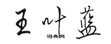 骆恒光王叶蓝行书个性签名怎么写