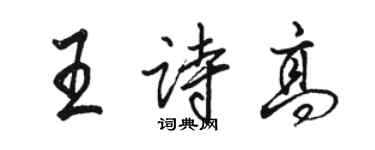 骆恒光王诗高行书个性签名怎么写
