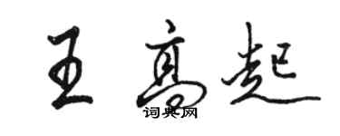 骆恒光王高起行书个性签名怎么写