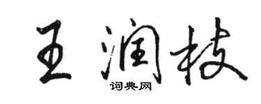 骆恒光王润枝行书个性签名怎么写
