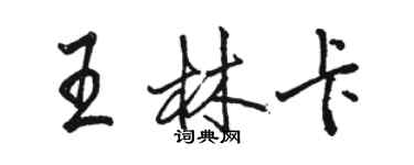 骆恒光王林卡行书个性签名怎么写