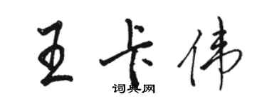 骆恒光王卡伟行书个性签名怎么写