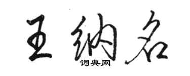 骆恒光王纳名行书个性签名怎么写