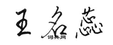 骆恒光王名蕊行书个性签名怎么写