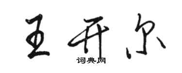 骆恒光王开尔行书个性签名怎么写