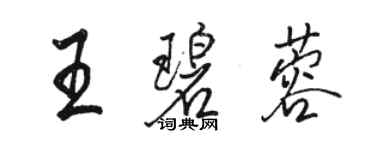 骆恒光王碧蓉行书个性签名怎么写