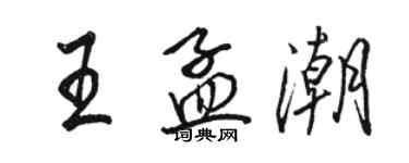 骆恒光王孟潮行书个性签名怎么写