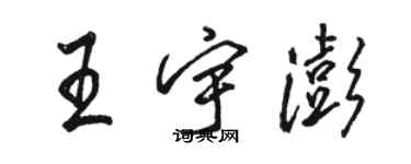 骆恒光王宇澎行书个性签名怎么写
