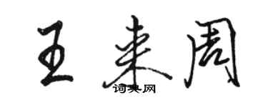 骆恒光王来周行书个性签名怎么写