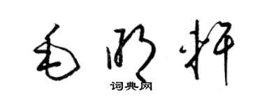 梁锦英毛明轩草书个性签名怎么写