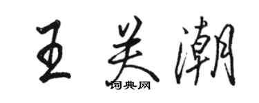 骆恒光王关潮行书个性签名怎么写