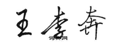 骆恒光王李奔行书个性签名怎么写