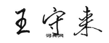 骆恒光王守来行书个性签名怎么写