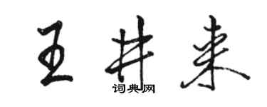 骆恒光王井来行书个性签名怎么写