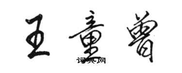 骆恒光王童曾行书个性签名怎么写