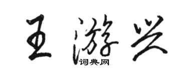 骆恒光王游兴行书个性签名怎么写