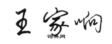 骆恒光王家响行书个性签名怎么写