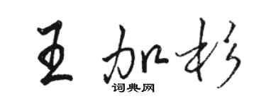 骆恒光王加杉行书个性签名怎么写