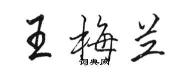 骆恒光王梅兰行书个性签名怎么写