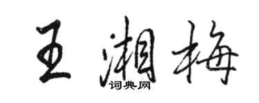 骆恒光王湘梅行书个性签名怎么写