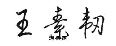 骆恒光王素韧行书个性签名怎么写