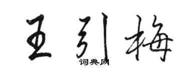 骆恒光王引梅行书个性签名怎么写