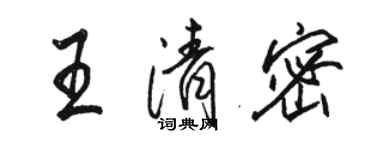 骆恒光王清密行书个性签名怎么写