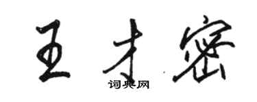 骆恒光王才密行书个性签名怎么写