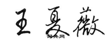 骆恒光王夏薇行书个性签名怎么写