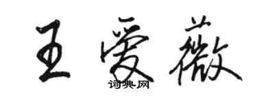 骆恒光王爱薇行书个性签名怎么写