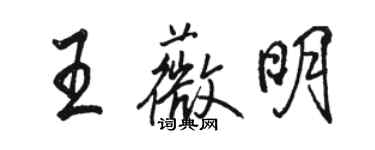 骆恒光王薇明行书个性签名怎么写
