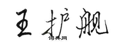 骆恒光王护舰行书个性签名怎么写