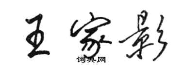 骆恒光王家影行书个性签名怎么写