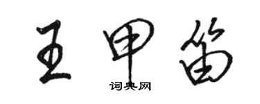 骆恒光王甲笛行书个性签名怎么写