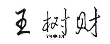骆恒光王树财行书个性签名怎么写