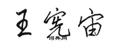 骆恒光王宪宙行书个性签名怎么写