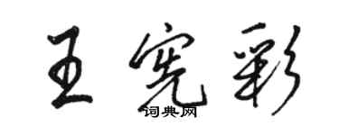 骆恒光王宪彩行书个性签名怎么写