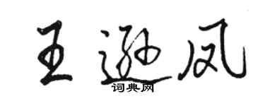 骆恒光王逊凤行书个性签名怎么写