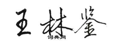 骆恒光王林鉴行书个性签名怎么写
