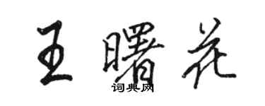 骆恒光王曙花行书个性签名怎么写