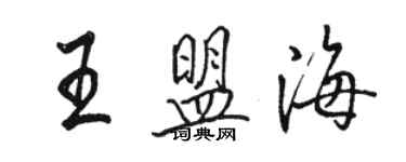 骆恒光王盟海行书个性签名怎么写
