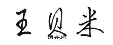 骆恒光王贝米行书个性签名怎么写