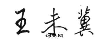骆恒光王未冀行书个性签名怎么写